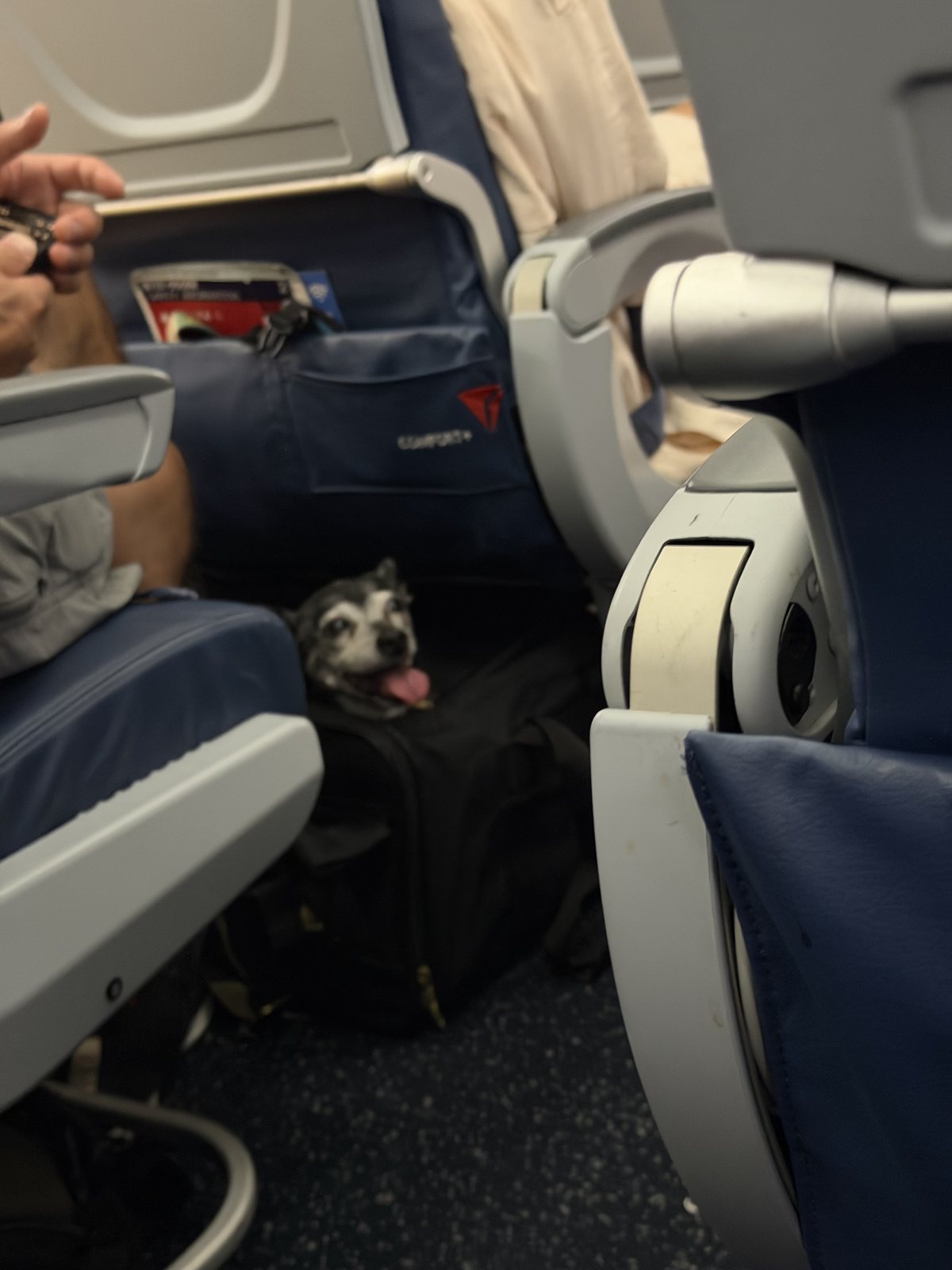 Our seatmate on DL1663, keeping an eye on things from under the seat in front.