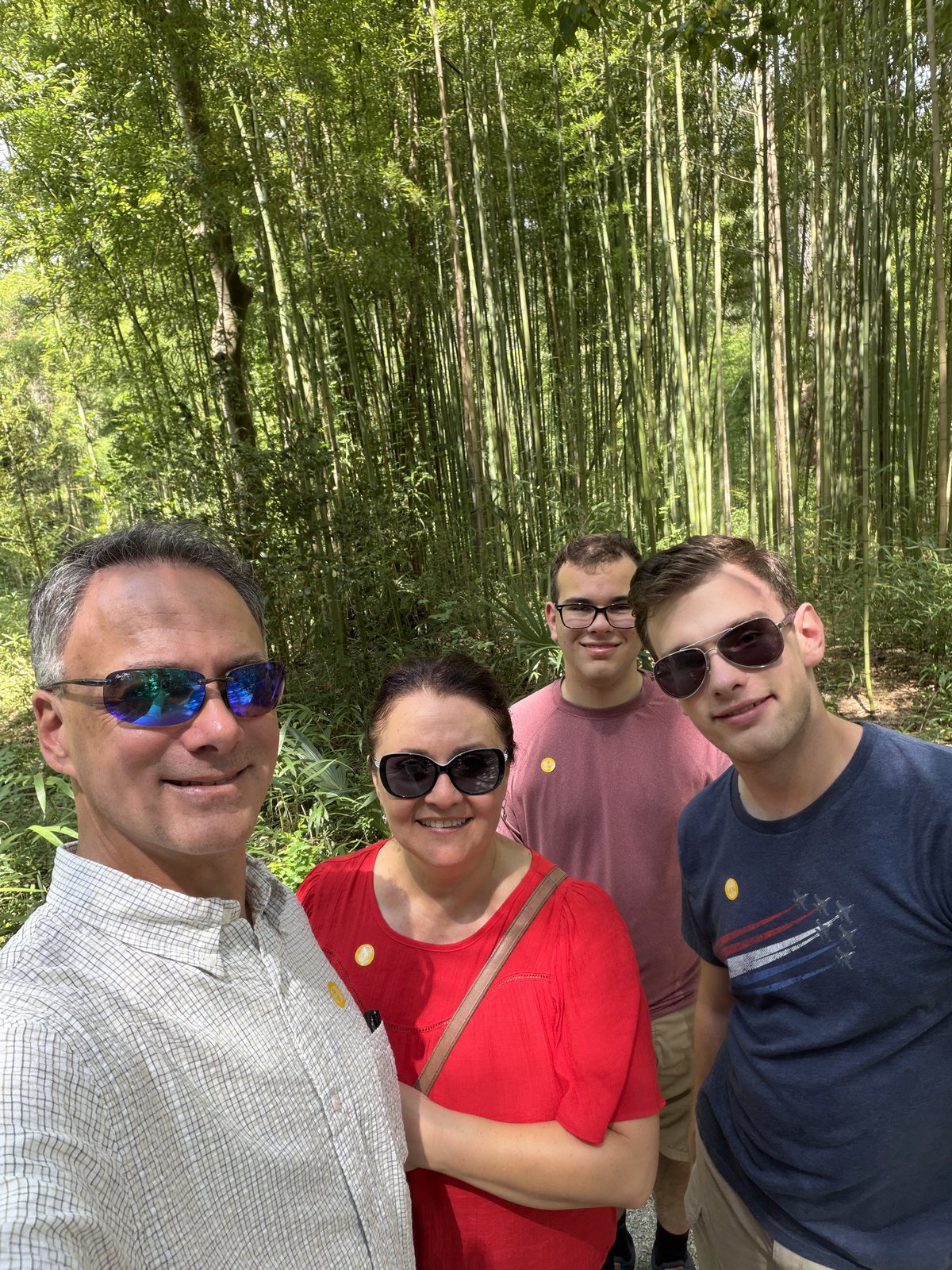 The family in the bamboo. The bamboo won the height contest.