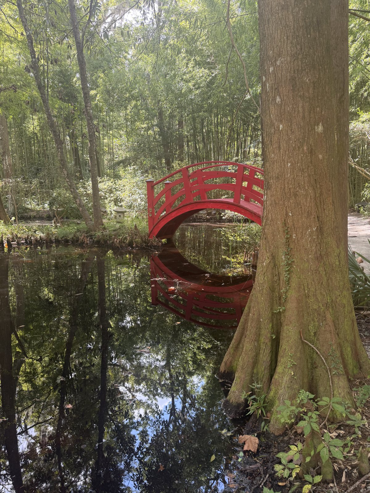 The red bridge. Every postcard of Magnolia is this bridge, and now so is ours.