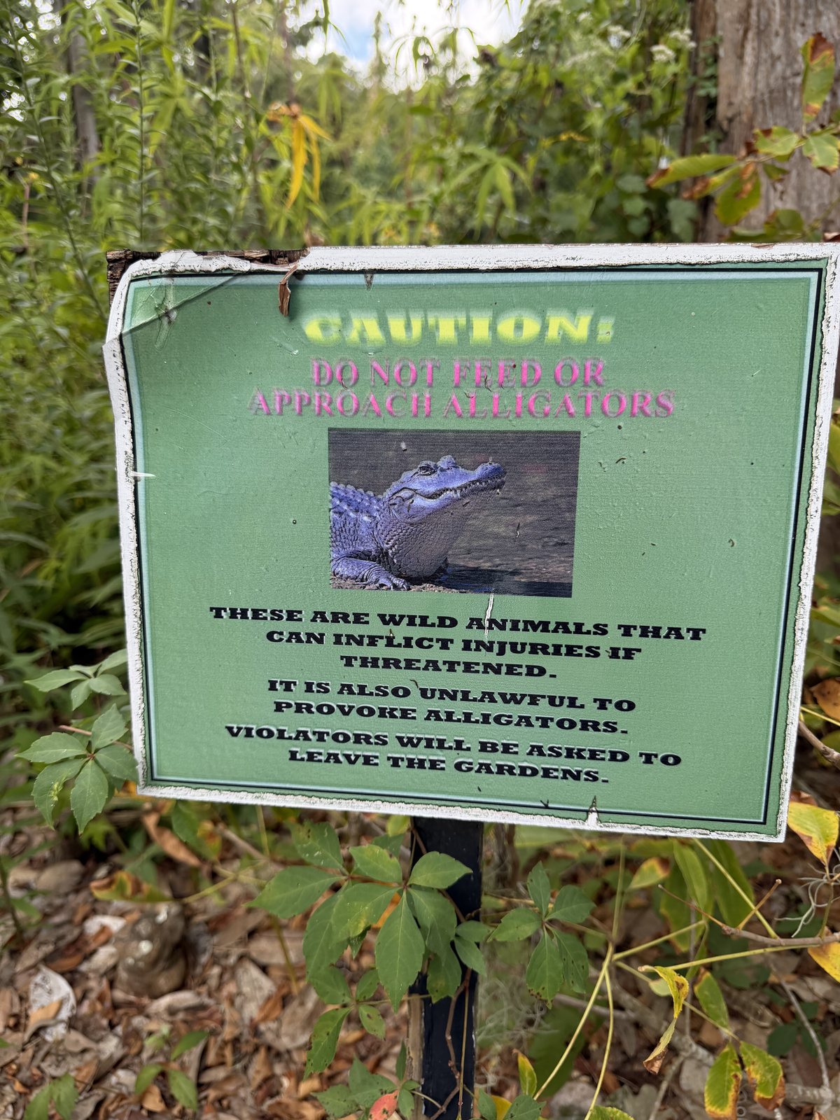 The sign says they're wild animals that can inflict injuries if threatened. We did not threaten them.