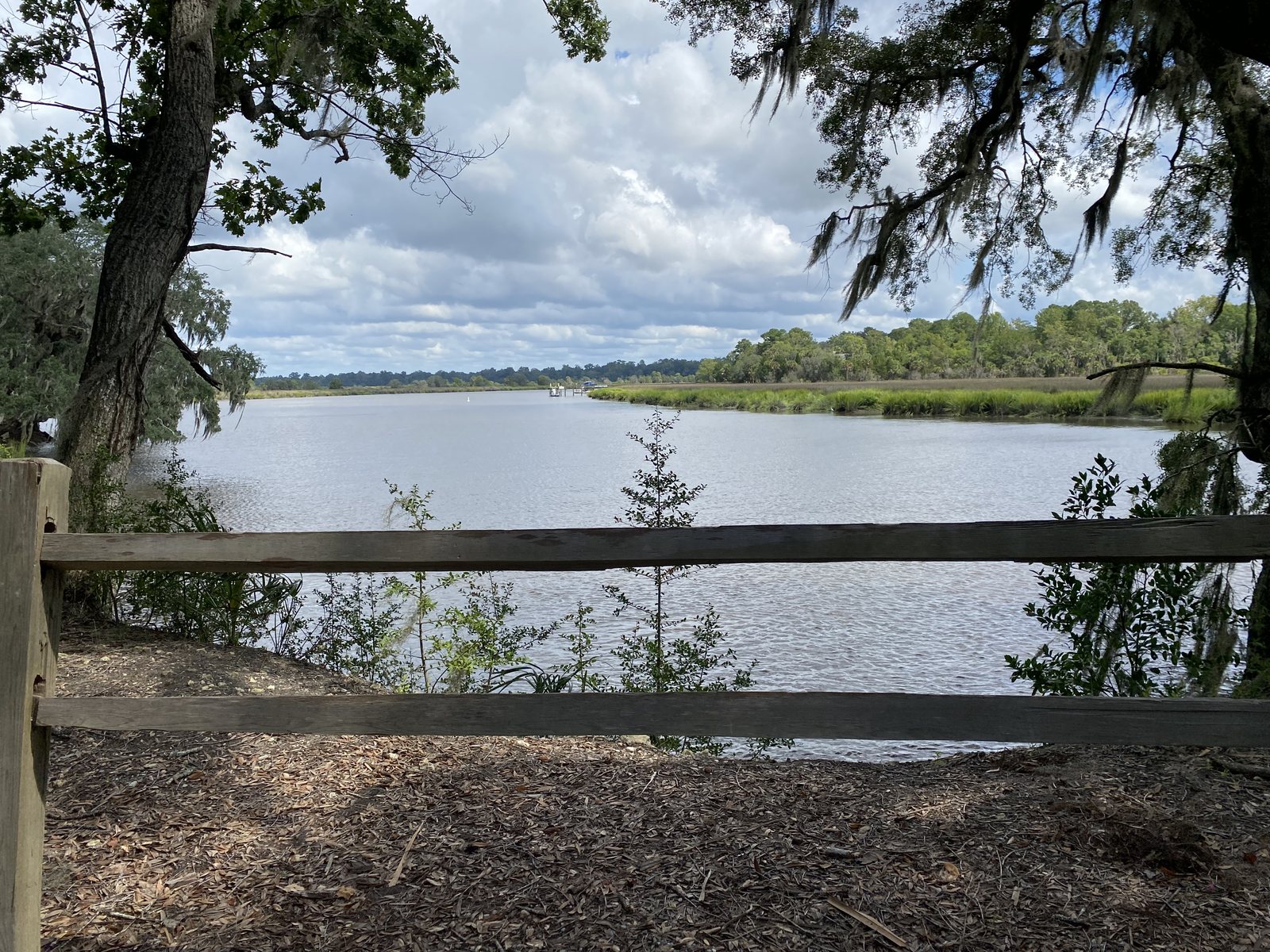 The Ashley River from the riverbank path.