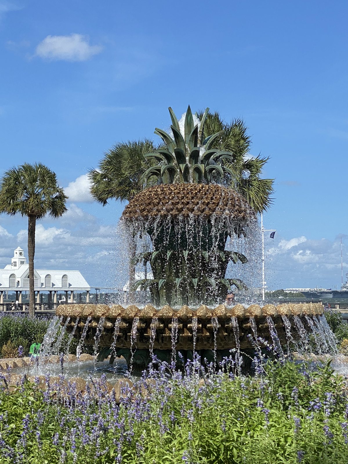 The Pineapple Fountain — Charleston's most photographed piece of fruit.