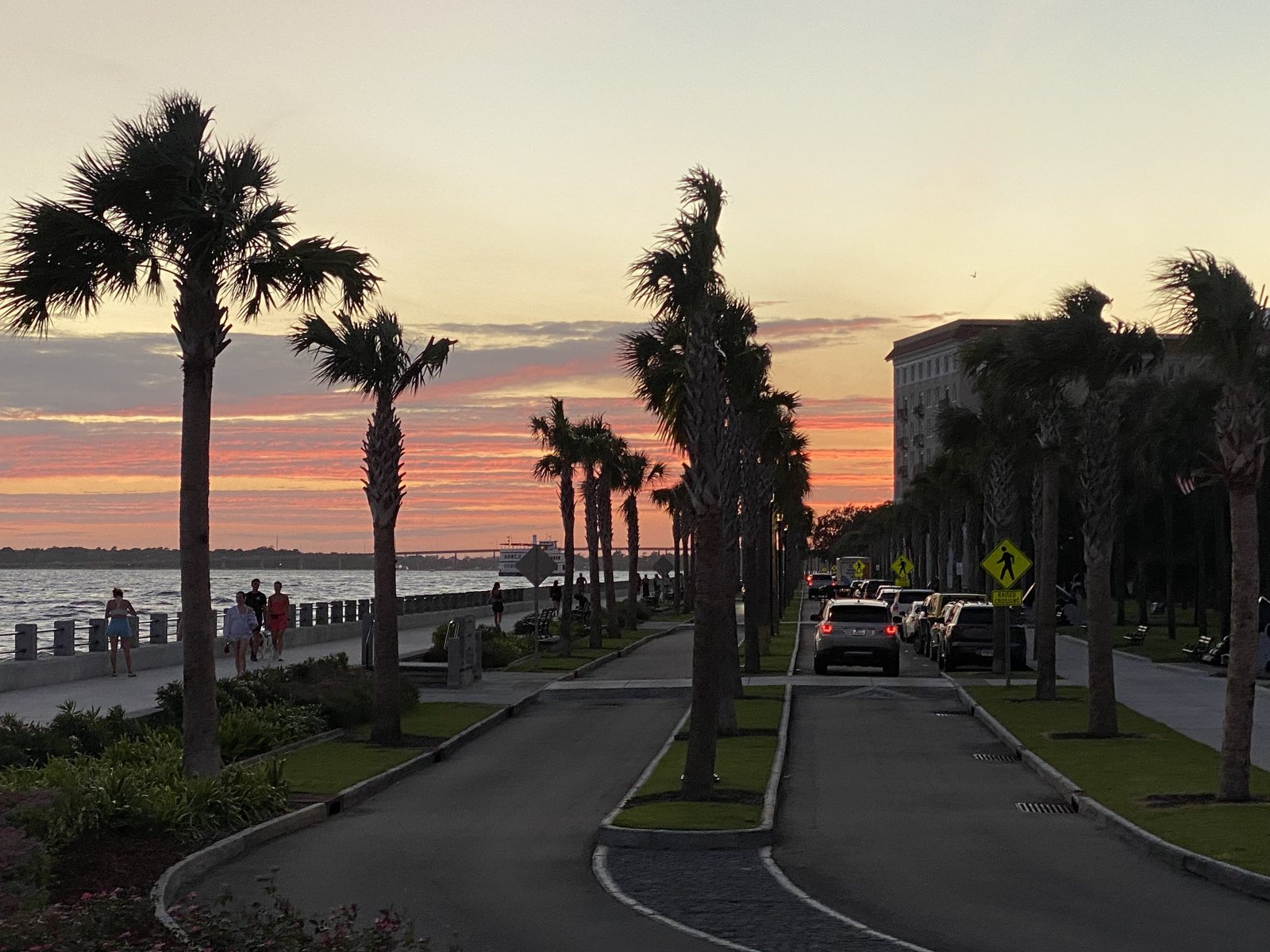 Palms against an orange sky. No filter, promise.