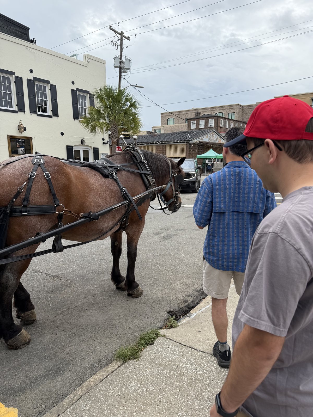 9:16am, Church Street. That's Chico, and that's our carriage — but the tour didn't leave for another 29 minutes, so we did a little shopping at the Market first.